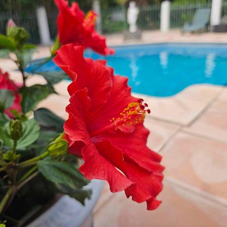 אגדה Les Jardins Du Patriarche Hotel מראה חיצוני תמונה