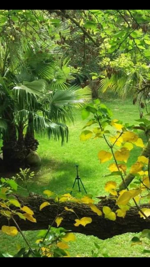 אגדה Les Jardins Du Patriarche Hotel מראה חיצוני תמונה
