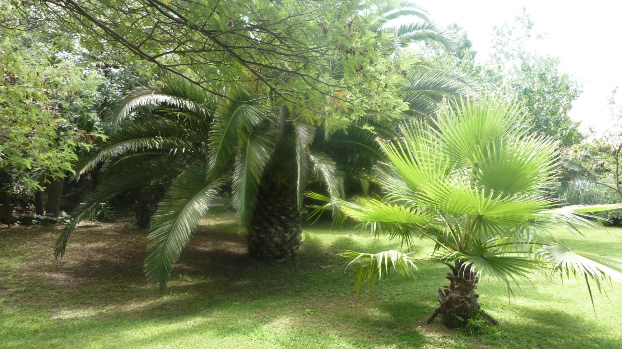 אגדה Les Jardins Du Patriarche Hotel מראה חיצוני תמונה