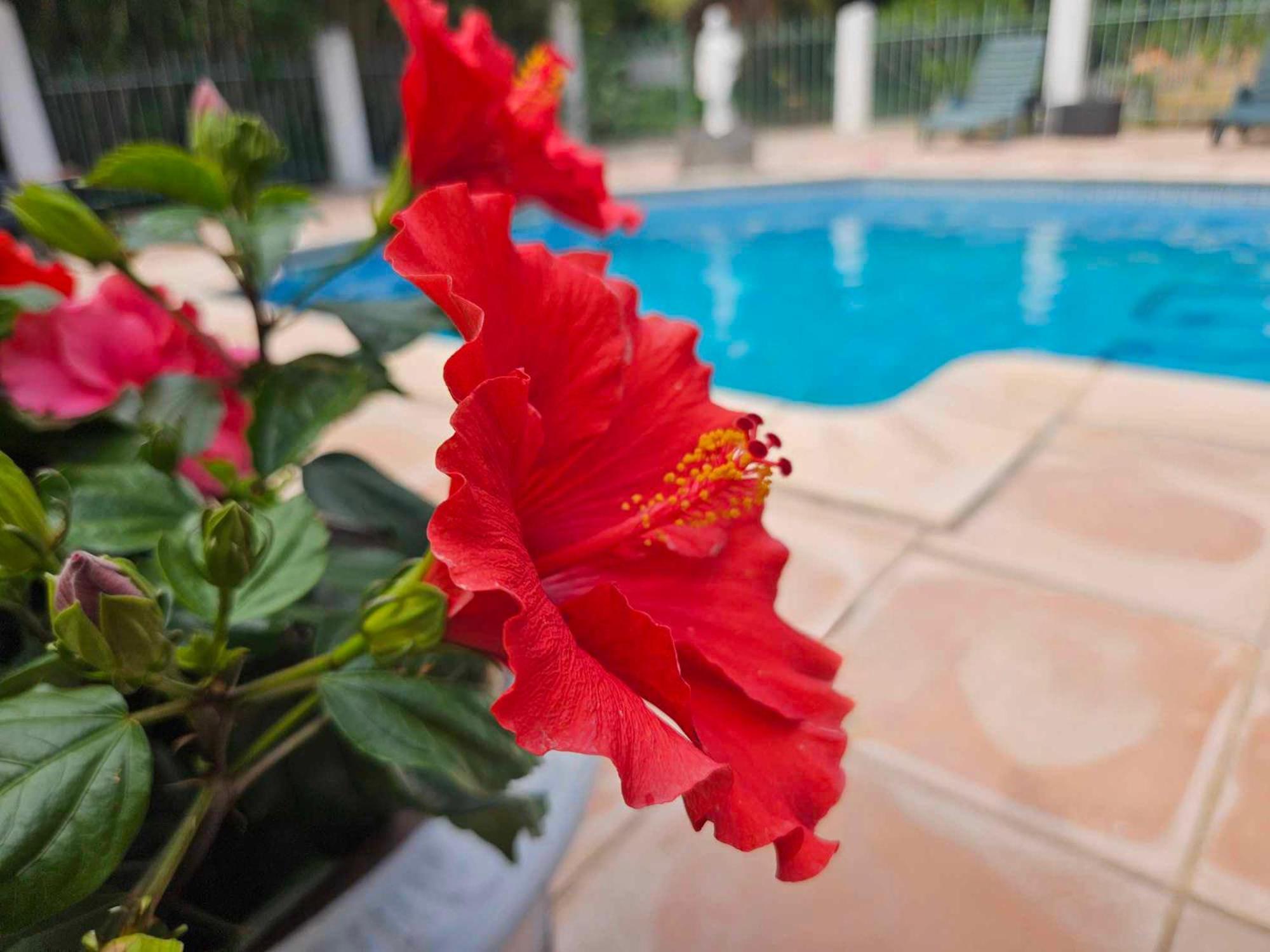 אגדה Les Jardins Du Patriarche Hotel מראה חיצוני תמונה
