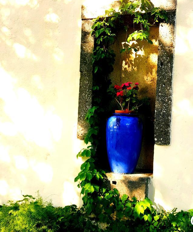 אגדה Les Jardins Du Patriarche Hotel מראה חיצוני תמונה