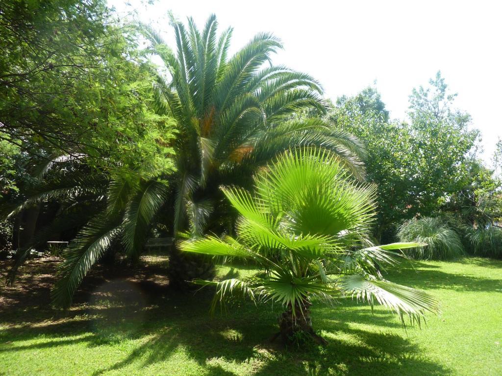 אגדה Les Jardins Du Patriarche Hotel מראה חיצוני תמונה